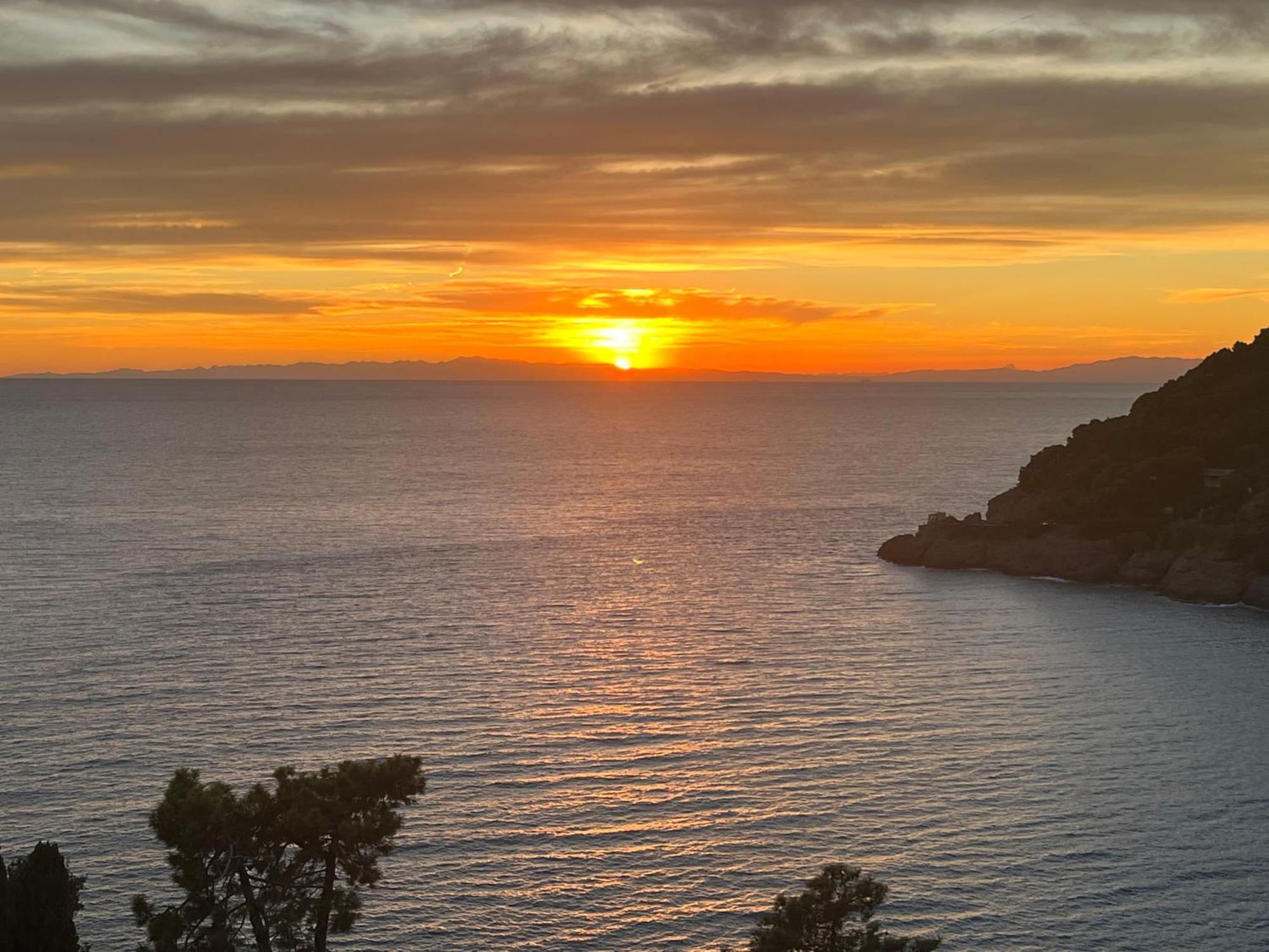 Casa Orchidea - Vista Mare Meravigliosa Bonassola Εξωτερικό φωτογραφία